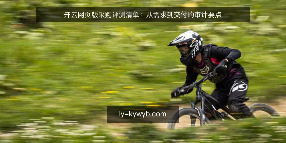 开云网页版采购评测清单：从需求到交付的审计要点 — 为什么现在要审计开云网页版采购 配图