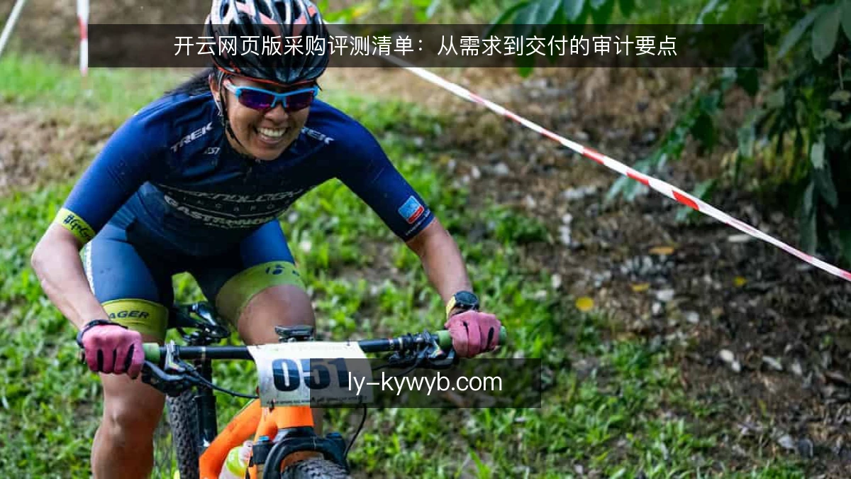 开云网页版采购评测清单：从需求到交付的审计要点