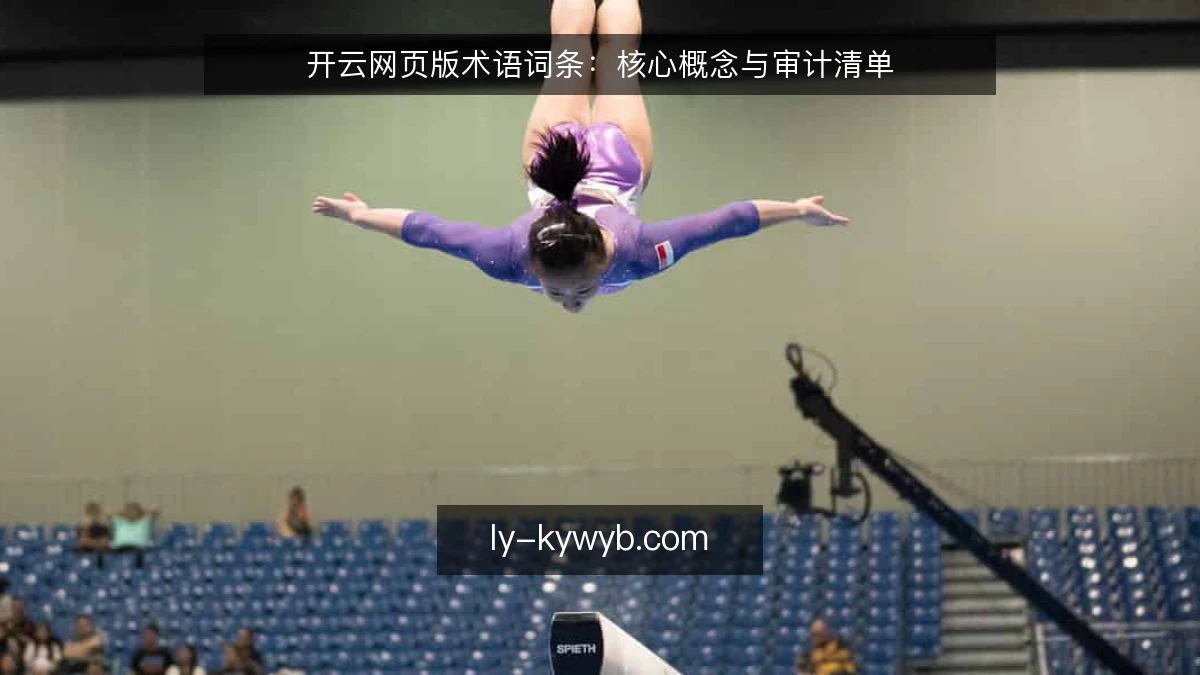 开云网页版术语词条：核心概念与审计清单