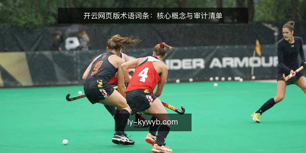 开云网页版术语词条：核心概念与审计清单 — 为何现在审计术语使用 配图