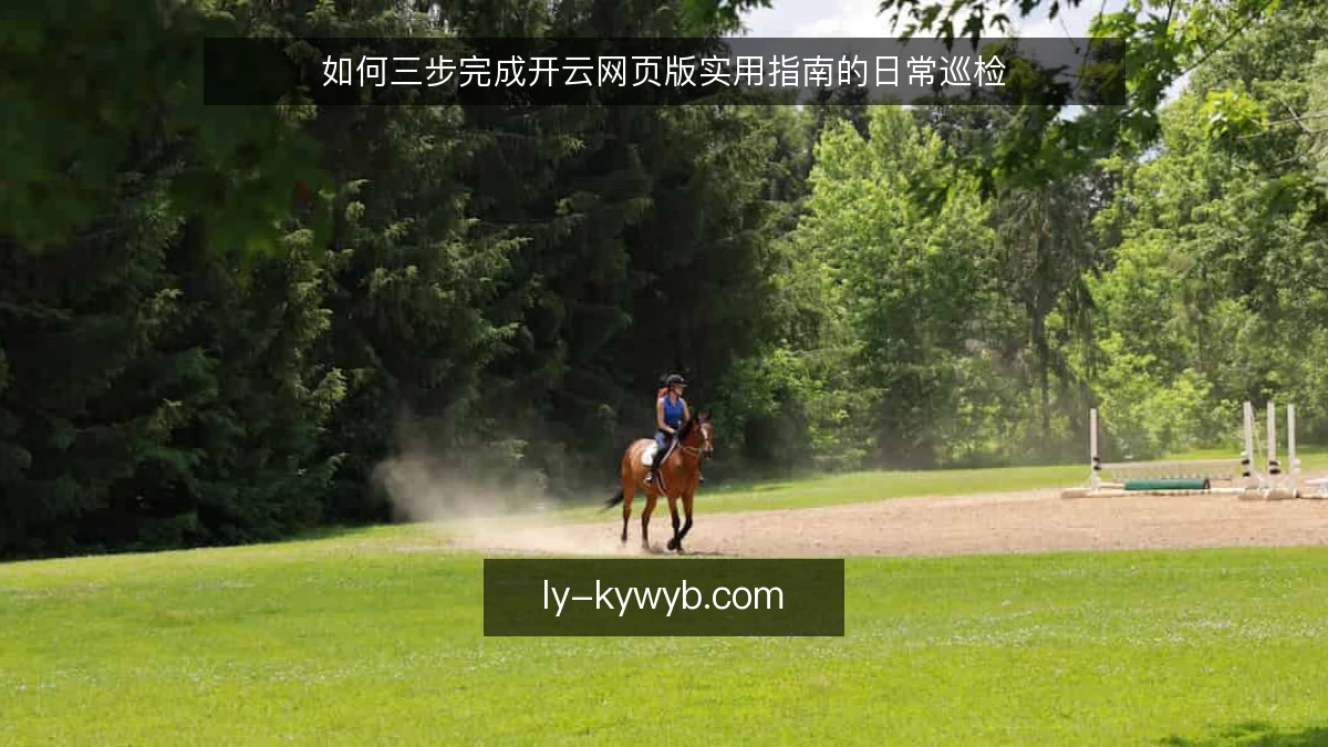 如何三步完成开云网页版实用指南的日常巡检