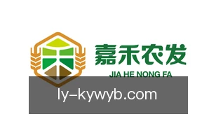 开云网页版