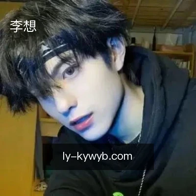 李想